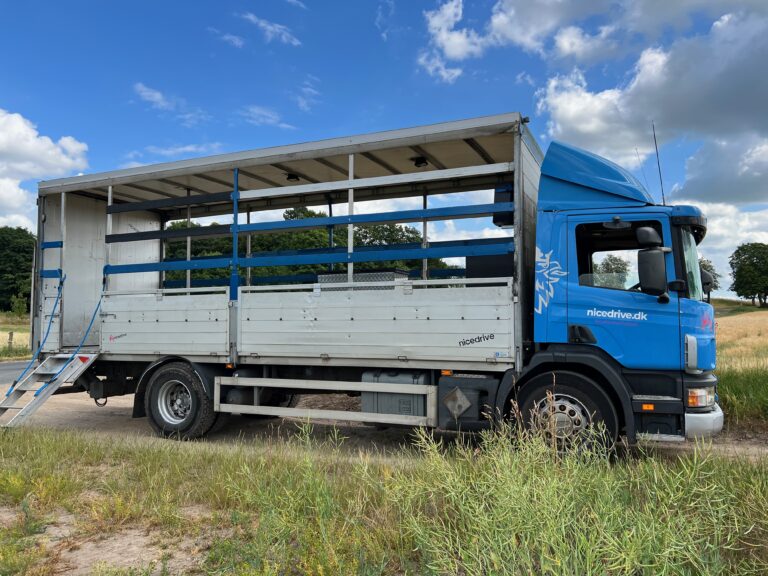 Studentervogn fra Nicedrive, model 'Energizer', klar til studenterkørsel til en billig pris, ideel til festlig transport af studenter på en solrig dag