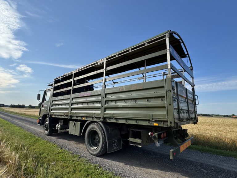 Studentervogn fra Nicedrive, model ‘Young Party’, klar til studenterkørsel til en billig pris, ideel til festlig transport af studenter på en solrig dag