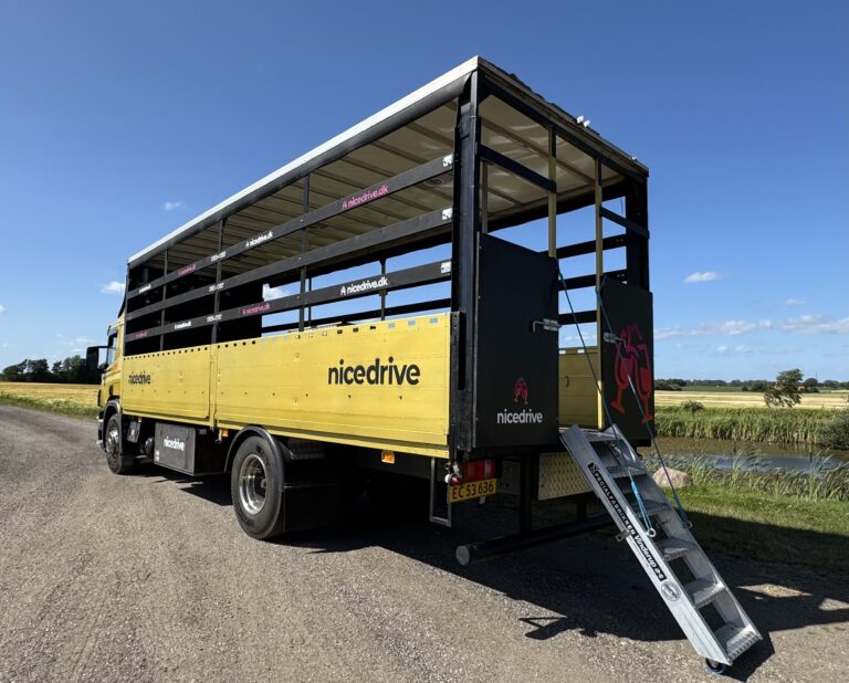 Studentervogn fra Nicedrive, model ‘Gold Party’, klar til studenterkørsel til en billig pris, ideel til festlig transport af studenter på en solrig dag