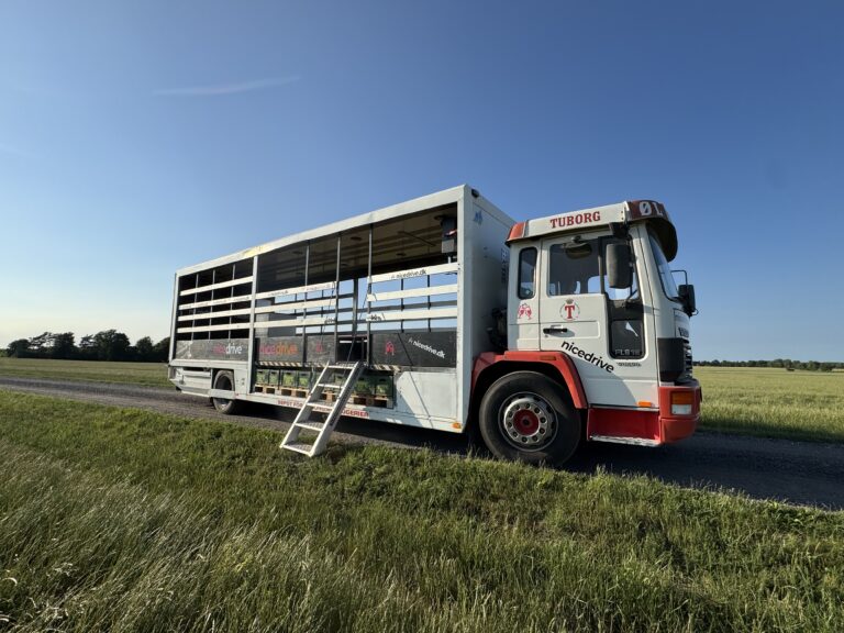 Studentervogn fra Nicedrive, model ‘Beer-cardi’, klar til studenterkørsel til en billig pris, ideel til festlig transport af studenter på en solrig dag